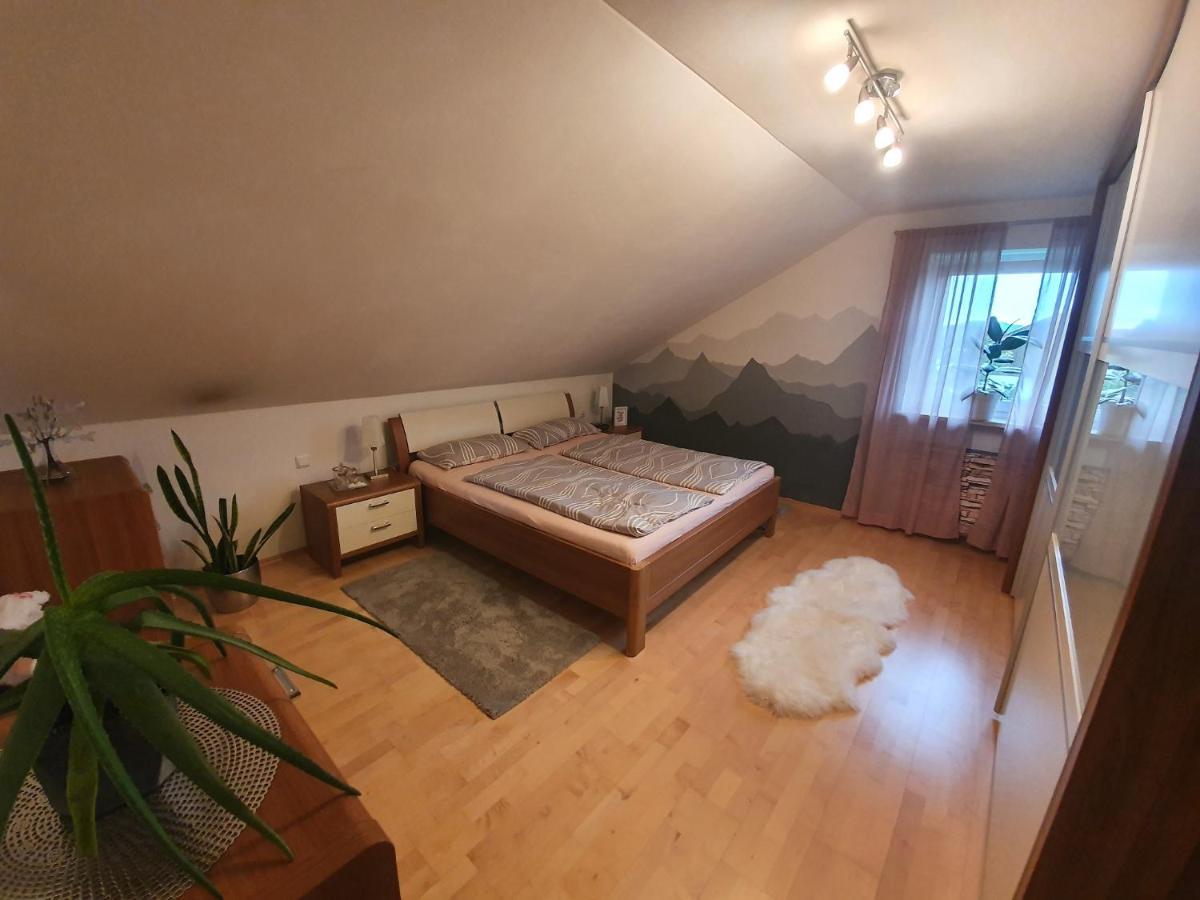 フライウングHaus Heidiアパートメント エクステリア 写真